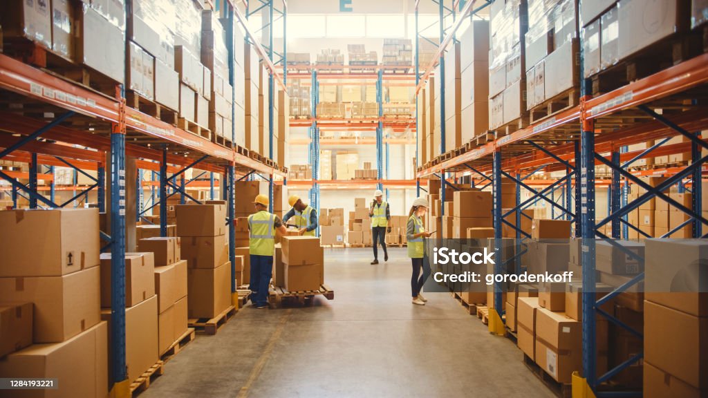 Importación / Exportación